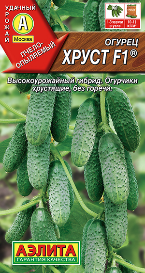 ������ ����� F1 �