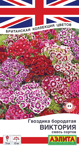 �������� ��������, ����� ������