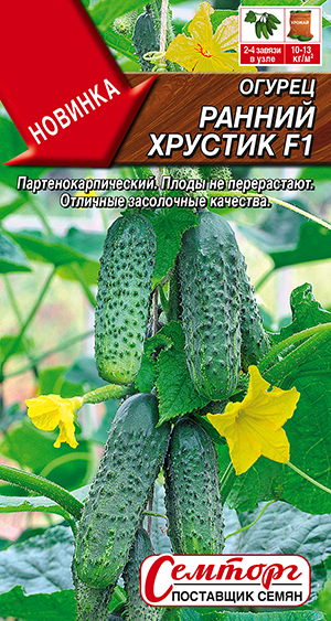 ������ ������ ������� F1