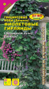 Бобы Фиолетовые гирлянды гиацинтовые Бобы Фиолетовые гирлянды гиацинтовые