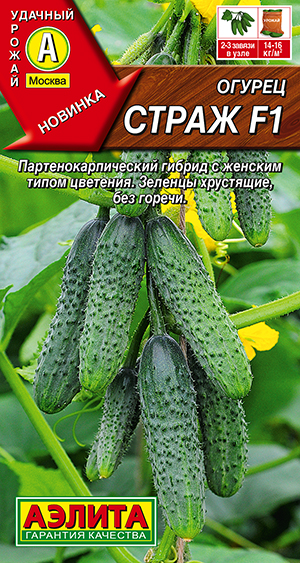 Огурец Страж F1 Огурец Страж F1