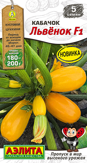 Кабачок цуккини Львёнок F1 Кабачок цуккини Львёнок F1