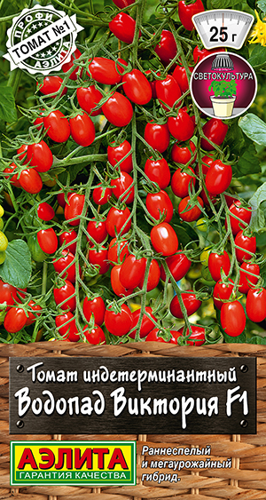 Томат Водопад Виктория F1 Томат Водопад Виктория F1