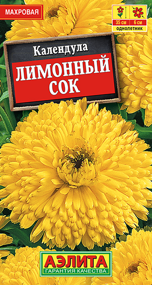 ��������� �������� ���