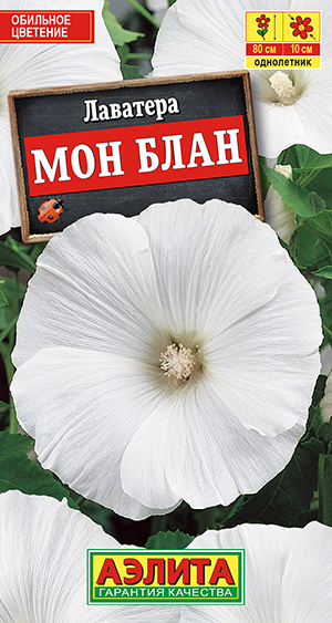 Лаватера Мон Блан Лаватера Мон Блан