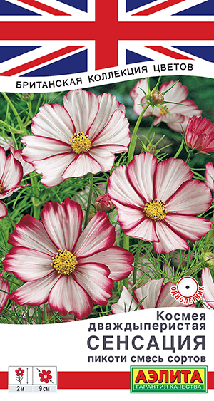 Космея Сенсация пикоти, смесь сортов Космея Сенсация пикоти, смесь сортов