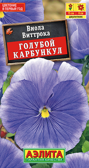 Виола Голубой карбункул Виола Голубой карбункул