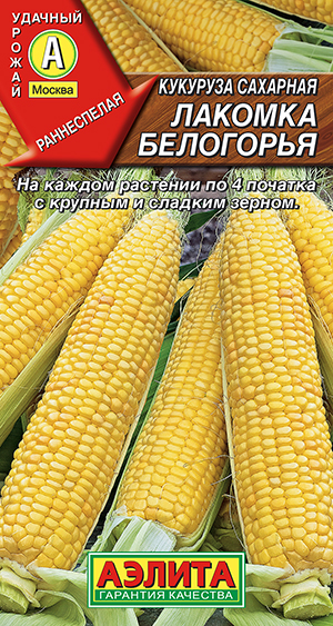 Кукуруза сахарная Лакомка Белогорья Кукуруза сахарная Лакомка Белогорья
