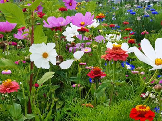 ����� ���������� ������� � ������� ������