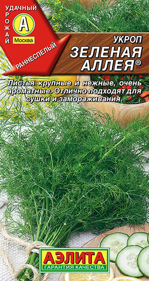 ����� ������� ����� �