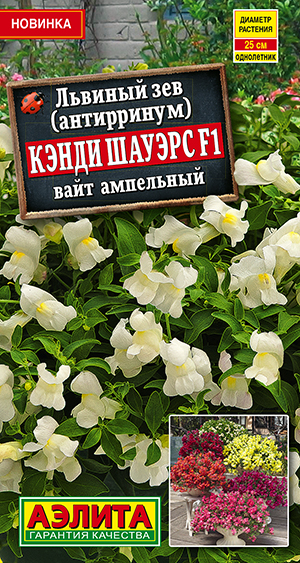 Львиный зев Кэнди Шауэрс F1 вайт ампельный Львиный зев Кэнди Шауэрс F1 вайт ампельный