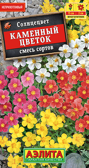 Солнцецвет Каменный цветок, смесь сортов Солнцецвет Каменный цветок, смесь сортов