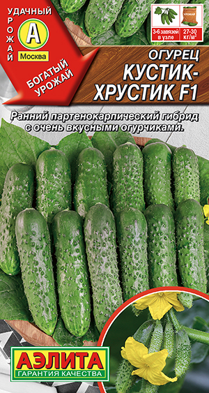 Огурец Кустик-хрустик F1 Огурец Кустик-хрустик F1