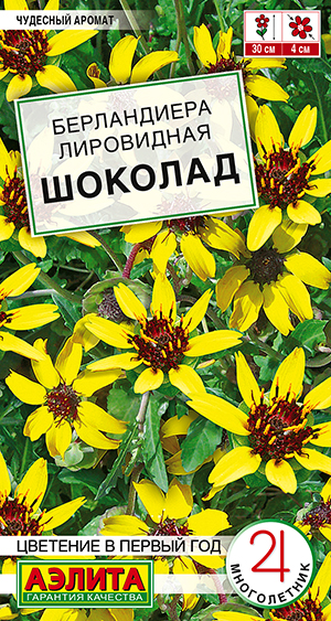 Берландиера Шоколад Берландиера Шоколад