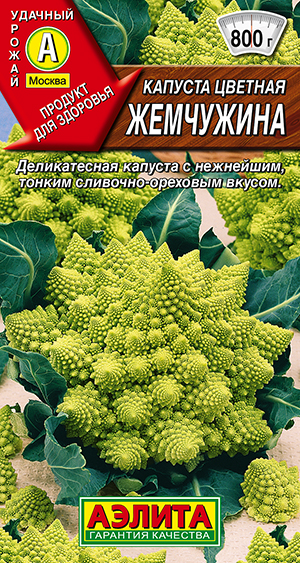 Капуста цветная Жемчужина Капуста цветная Жемчужина