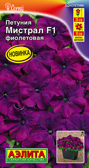Петуния Мистрал F1 фиолетовая крупноцветковая Петуния Мистрал F1 фиолетовая крупноцветковая