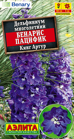 Дельфиниум Бенарис пацифик кинг артур