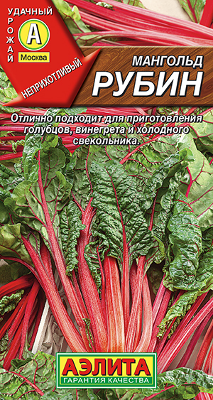 �������� �����