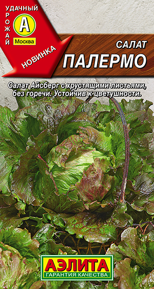 ����� �������