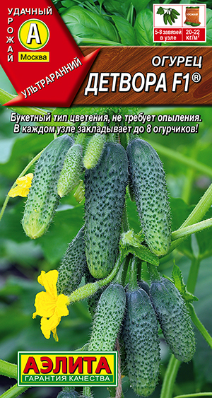 Огурец Детвора F1 ® Огурец Детвора F1 ®