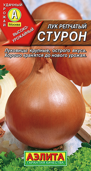 Лук репчатый Стурон Лук репчатый Стурон