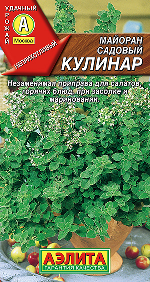 Майоран садовый Кулинар Майоран садовый Кулинар