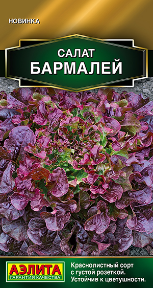 ����� ��������