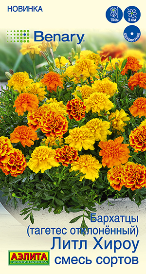 Бархатцы Литл хироу отклоненные, смесь сортов Бархатцы Литл хироу отклоненные, смесь сортов