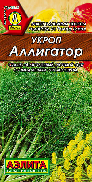 ����� ���������