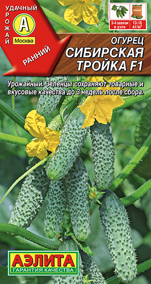 Огурец Сибирская тройка F1 Огурец Сибирская тройка F1