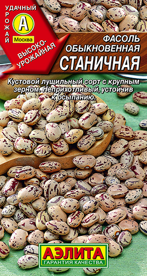 ������ ������������ ���������