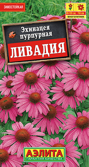 �������� ��������� �������