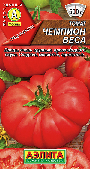 ����� ������� ����