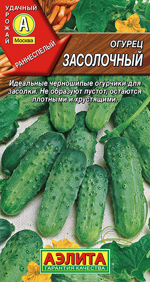 ������ ����������