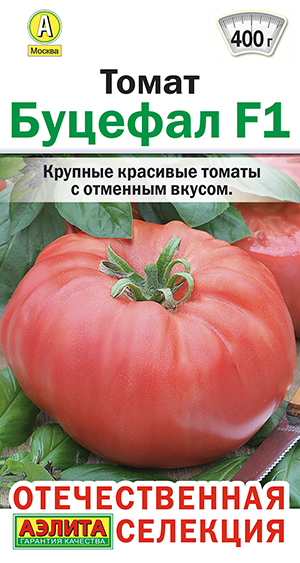 ����� ������� F1