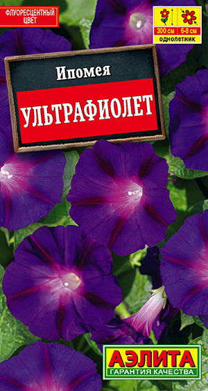 ������ ������������