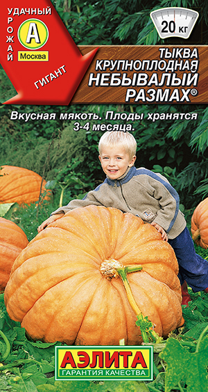 ����� ������������� ��������� ������ �