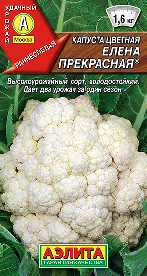 Капуста цветная Елена Прекрасная ® Капуста цветная Елена Прекрасная ®