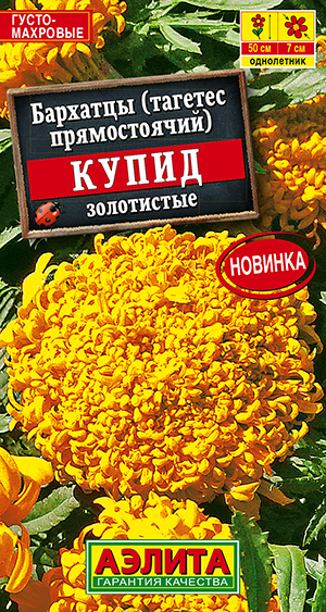 Бархатцы Купид золотистые хризантемовидные Бархатцы Купид золотистые хризантемовидные