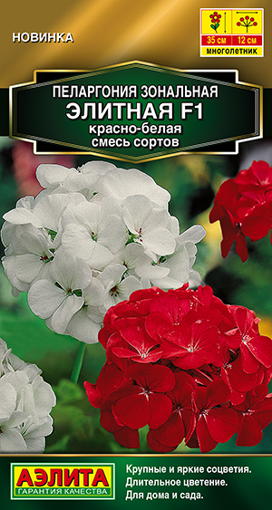 Пеларгония Элитная F1 красно-белая, смесь сортов Пеларгония Элитная F1 красно-белая, смесь сортов
