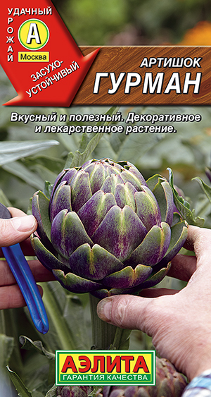 Артишок Гурман Артишок Гурман