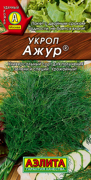 ����� ���� �