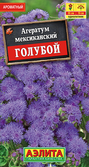 Агератум мексиканский голубой Агератум мексиканский голубой