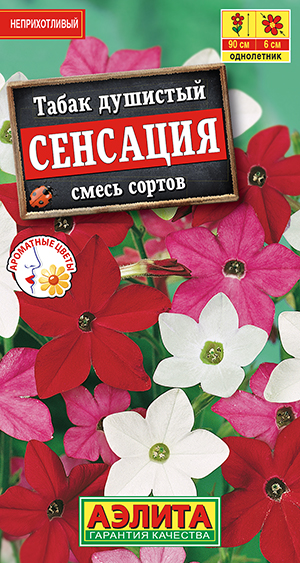 Табак Сенсация, смесь сортов Табак Сенсация, смесь сортов