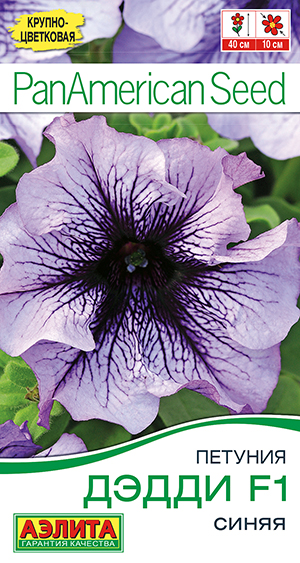 Петуния Дэдди F1 синяя Петуния Дэдди F1 синяя