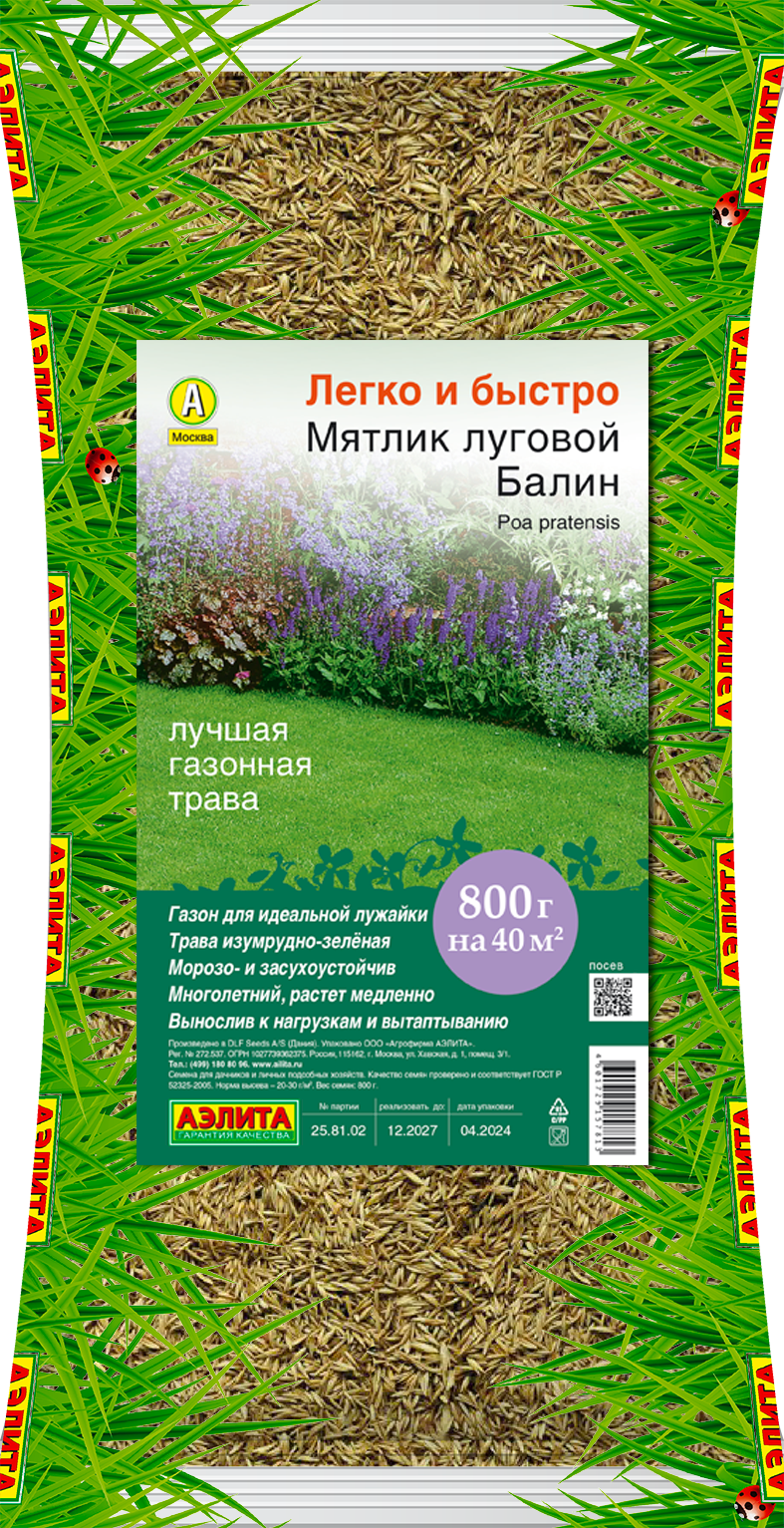 Мятлик луговой Балин Мятлик луговой Балин