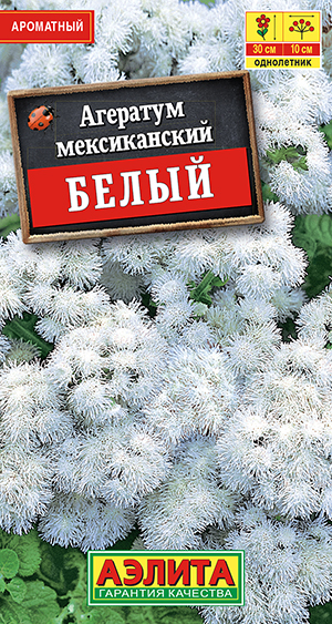 Агератум мексиканский белый Агератум мексиканский белый