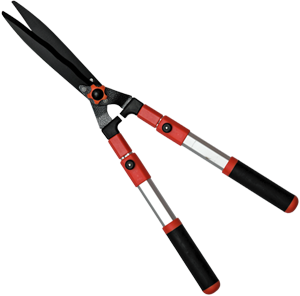 �������� 13", ��������� ������,��������� ����������� ��������������� �����