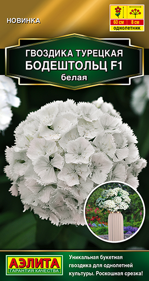 Гвоздика турецкая Бодештольц F1 белая Гвоздика турецкая Бодештольц F1 белая