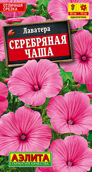 Лаватера Серебряная чаша Лаватера Серебряная чаша